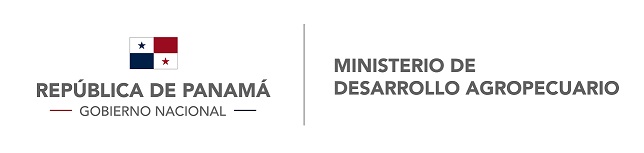 logo_mida